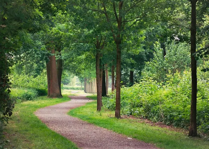 Appartement Gemuetlich Im Pott, Nahe Essen Und Veltins Arena